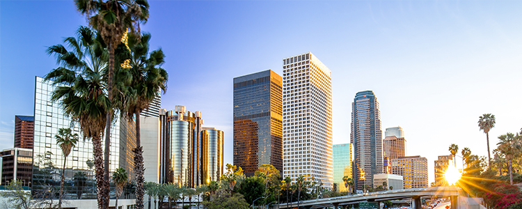 Los Angeles Skyline (700 x 350)